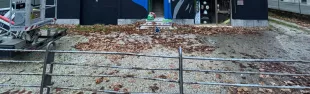 Murale
