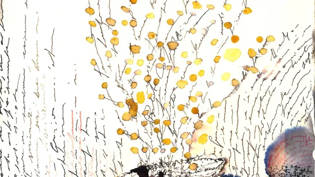 Locandina Premio Mimosa