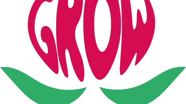 Logo ufficiale